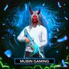 mubin.gaming10