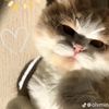 pin_aja1310