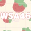 wsa46.official