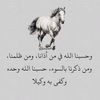 nahalebrahimi