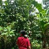 ninyoman.witriani