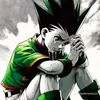 gon.freeks42
