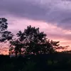 trthaanhlam