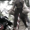 bocill_smp2
