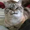 hong.mibee