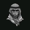 abdarahman___