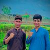 hilal.khan5768