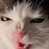 vizzyy.exe