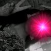 picchi_jui_00