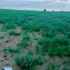 azawad.azawad92