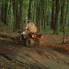 country_life_fr