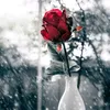 user9481468081492