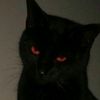 blackoutmagic