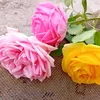 user4508198286959