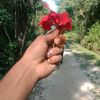 mdmahfuj.alom67