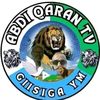 abdiqarantv3
