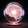 neuracle