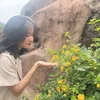 le.trang6197