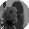 lily.figueroa14