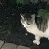 kncute15_