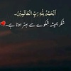 hussainhussain3549