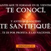 zefe.alejo
