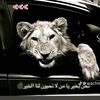 lamin.yamal5054
