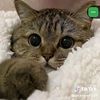 myat.thitsar1