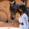 horseloves5