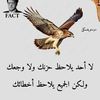user8860594216313