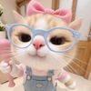 kirana_fachin