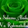 user5206138329320