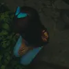 vpadron4