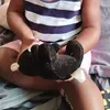 elvinaellielle2