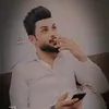 kin.tiger8