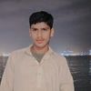 amir.fardani