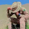 simplefoji46