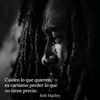 dave.vargas01