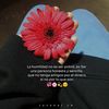 rosybelinda2