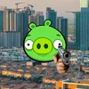rawaz_karim4
