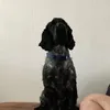 alfie.boy94