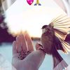 user887132043520