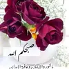 fatima.mohmed.baz