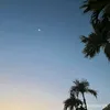yulii_222_