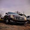 cocoa_thee_caddy