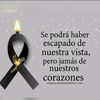 jimmy.garcia858