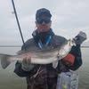 sabertooth.trout