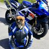 biker_aymecito