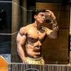 pau_veiudo