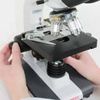 zoom.micr0scope